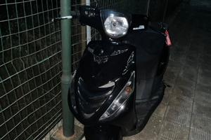Zip sp 2008