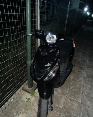 Zip sp 2008