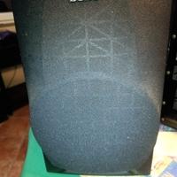 coppia casse SONY SSH991