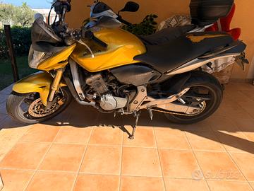Honda Hornet