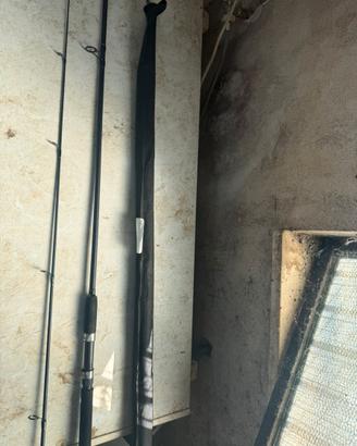 canne ca carpfishing ngt