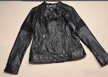 Giubino Harley Davidson