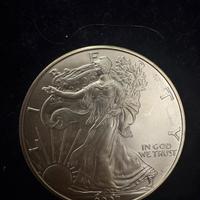 Usa 1 dollari Aquila Americana 2007 argento FDC