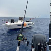 Aquamar jamaica 6 mt