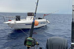 Aquamar jamaica 6 mt