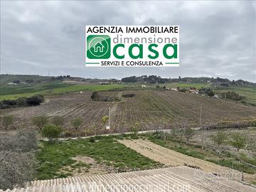 Rif.TA73-Terreno agricolo San Cataldo