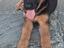 Immagine 1