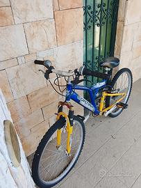 Bici usata