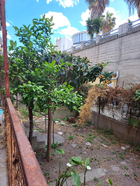 Appartamento+giardino