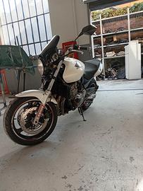 Honda hornet 