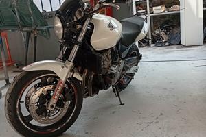 Honda hornet 