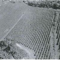 RGE 158/2022 Trib Pavia - LOTTO 2