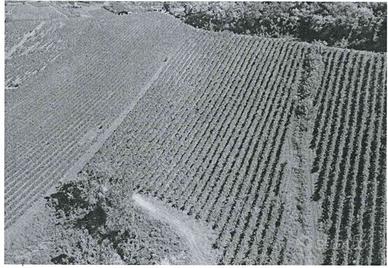 RGE 158/2022 Trib Pavia - LOTTO 2