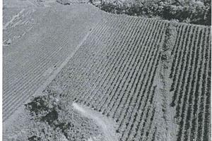 RGE 158/2022 Trib Pavia - LOTTO 2