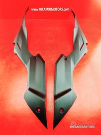 FIANCHETTO DUCATI STREETFIGHTER 1098