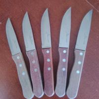 Cinque coltelli da barbecue 