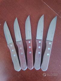 Cinque coltelli da barbecue 