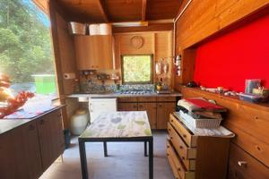 Roulotte con casina in legno