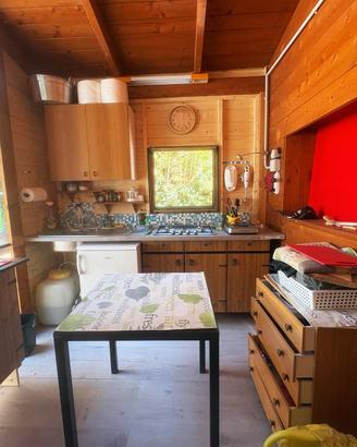 Roulotte con casina in legno