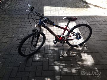 Mountain bike da 24