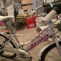 Bicicletta montebike