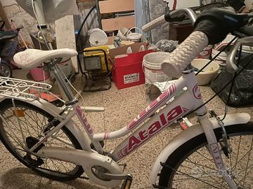 Bicicletta montebike