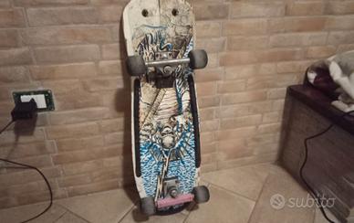 Skateboard professional