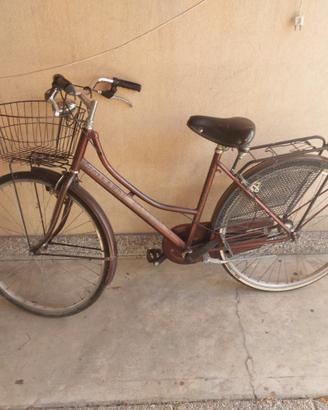 Bici Holland donna