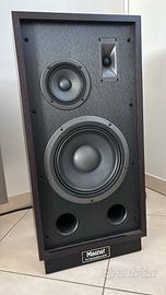 Diffusori magnat Transpuls 1000