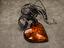 Immagine 2