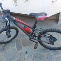 Mountain bike taglia 20