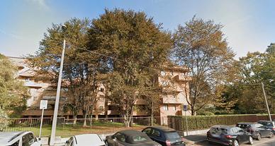 Stanza singola a Monza