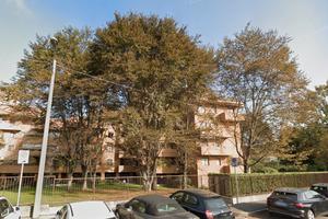 Stanza singola a Monza