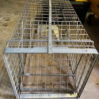 Gabbia cattura animali