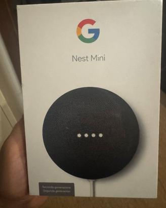 Nest mini