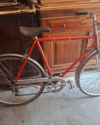 Bicicletta Savigni