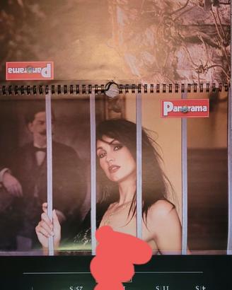 Calendari Modelle da collezione