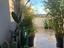 Immagine 8