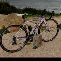 Bici bds olmo taglia s