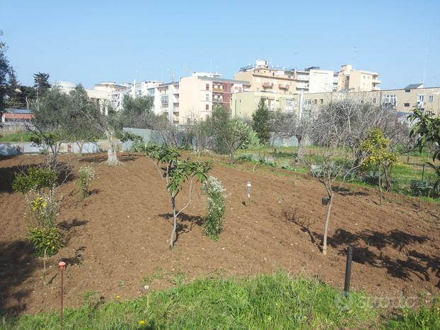 Terreno Vic.Policlinico