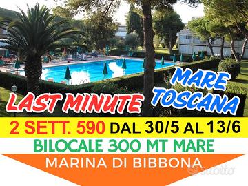 Last minute giugno Marina di Bibbona 2 sett. 590