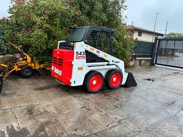 P195 - Minipala 18 q Bobcat 543
