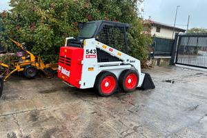 P195 - Minipala 18 q Bobcat 543