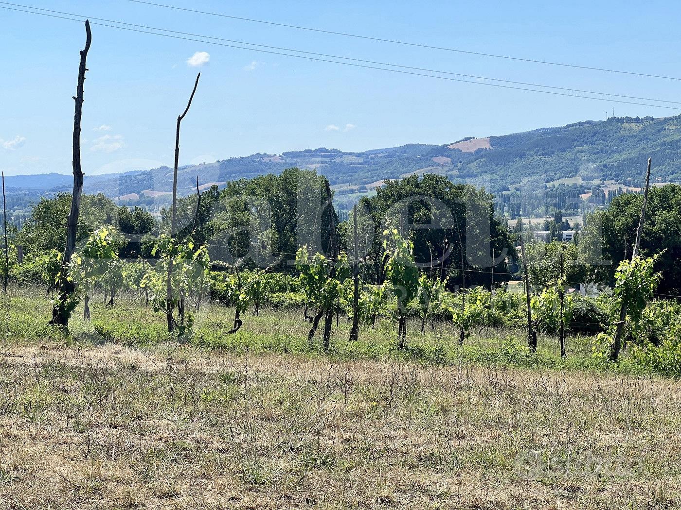 Terreno Agricolo Gubbio [TERRAGLORETO9VCG] - Vista 3
