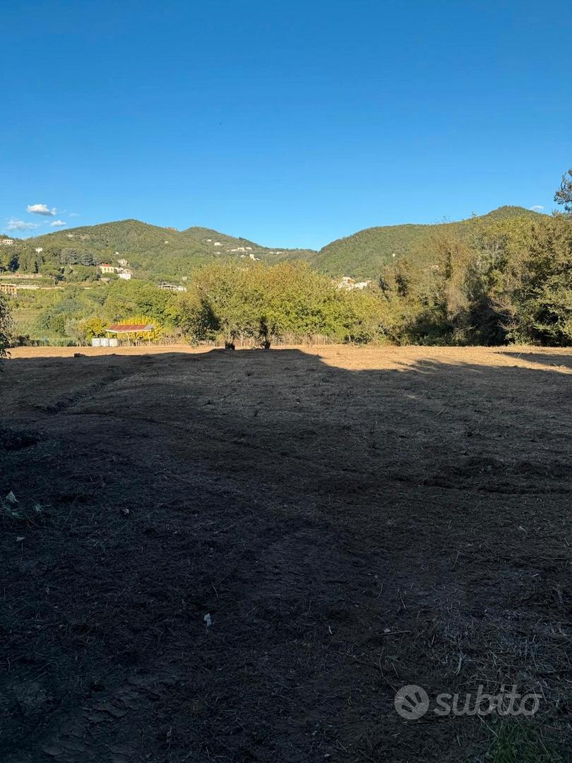 Terreno con deposito : ideale per azienda agricola - Vista 6