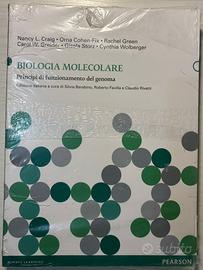 Biologia molecolare Pearson