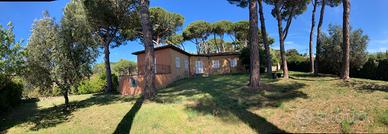 Bella villa fra i pini