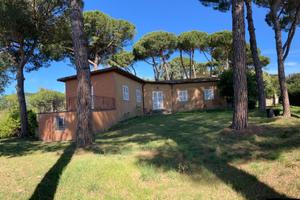 Bella villa fra i pini