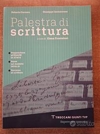 Palestra di scrittura
