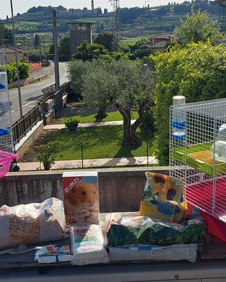 gabbiette per piccoli roditori